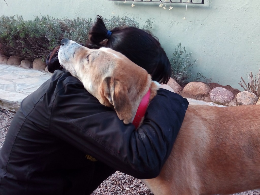 Perro y propietaria de peludos se abrazan