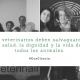 veterinarios aboliciionistas de la tauromaquia de peludos, residencia felina en la Rioja