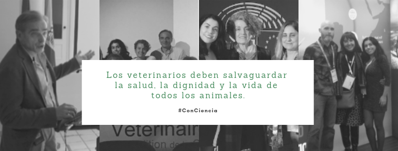 veterinarios aboliciionistas de la tauromaquia de peludos, residencia felina en la Rioja
